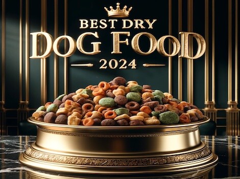 Best Rated Dry Dog Food Brands