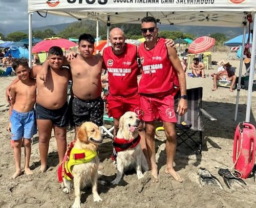 Lifeguard Golden Retrievers Save Lives of 5 Boys Trapped in Rip Current
